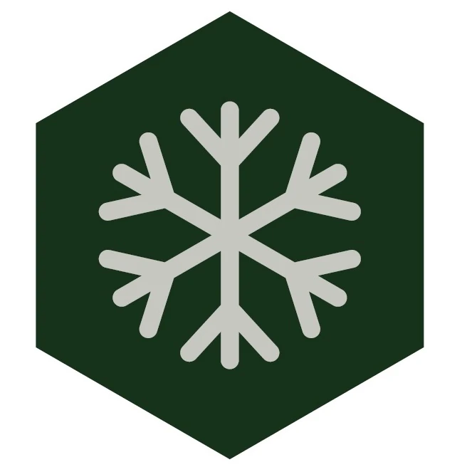 Płytki na taras mrozoodporne.webp